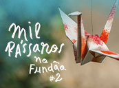 Imagem do evento Mil Pássaros no Fundão